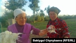 Kakesh Jumabai-Kyzy (left), a 70-year-old craftswoman living in Kyrygyzstan's remote At-Bashy region, collecting the dried wool she uses to make felt for traditional shyrdak and alakiyiz carpets.